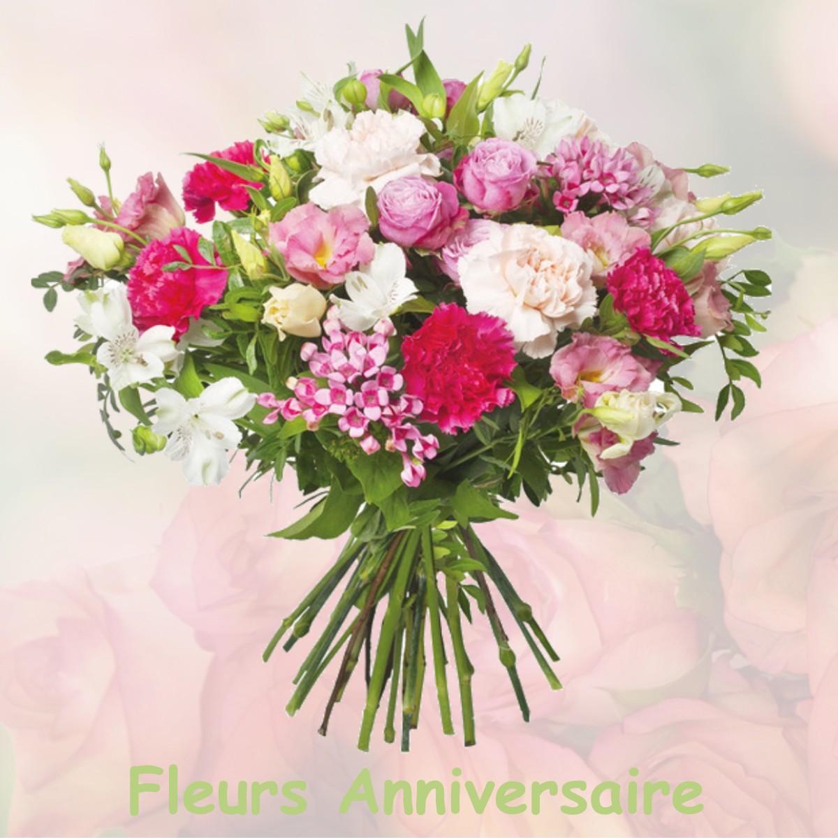 fleurs anniversaire PRUSLY-SUR-OURCE